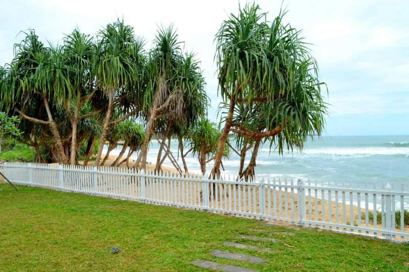 Guru Beach Resort แทนกาลเล ภายนอก รูปภาพ